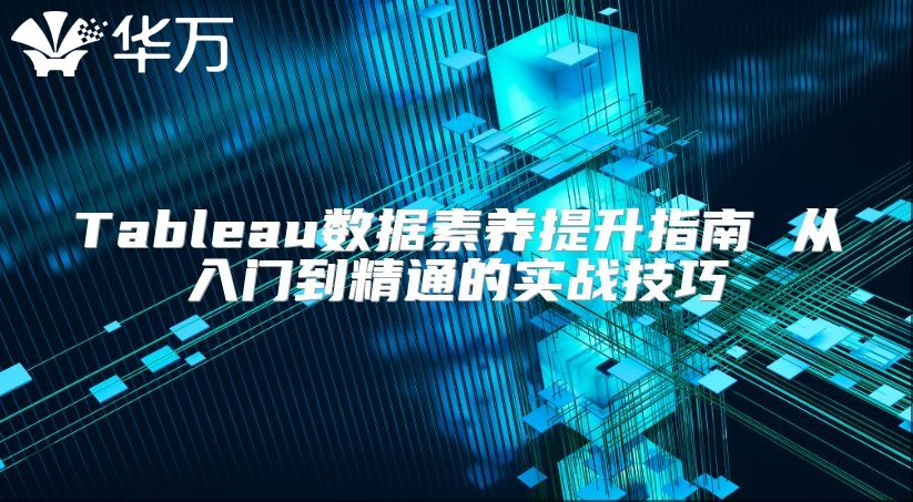 Tableau數據素養提升指南 從入門到精通的實戰技巧