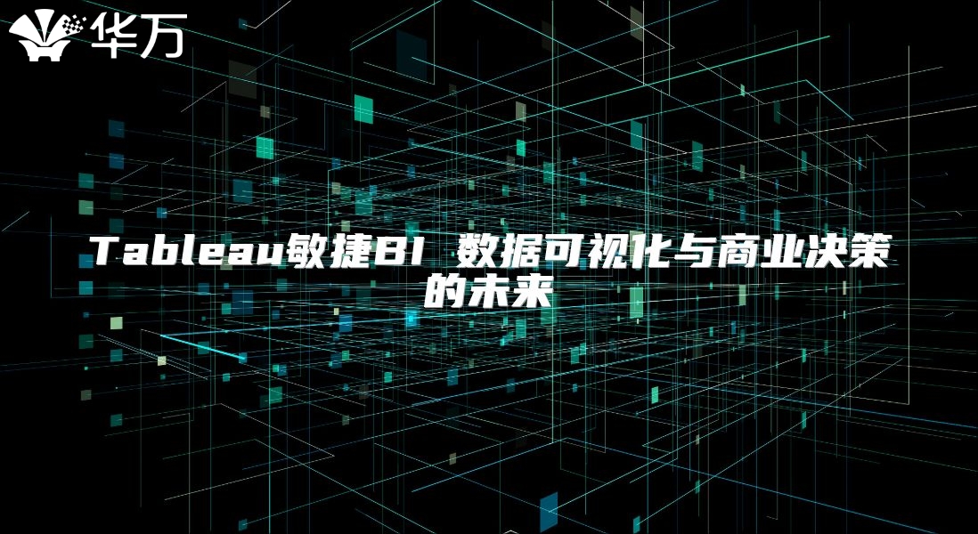 Tableau敏捷BI 數據可視化與商業決策的未來