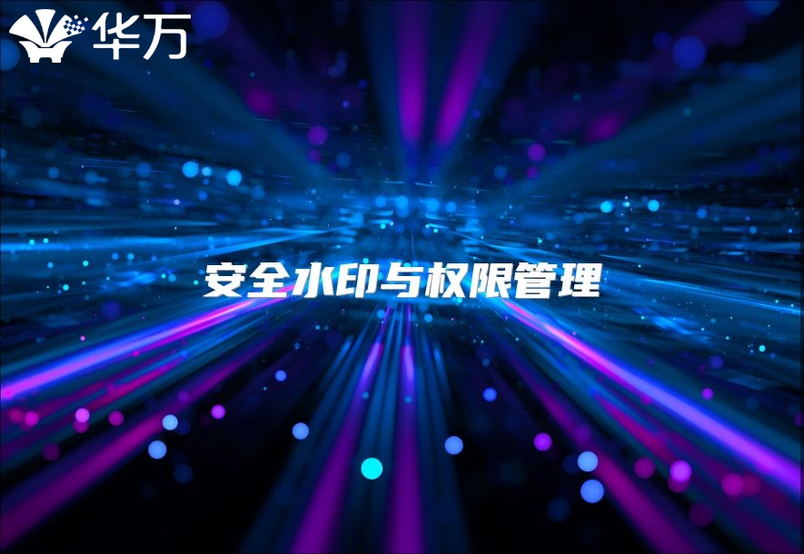 安全水印與權(quán)限管理