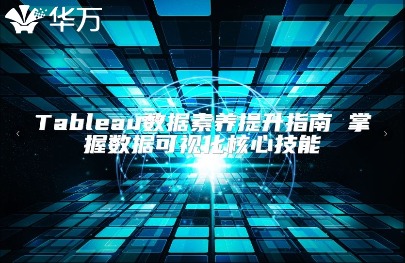 Tableau數(shù)據(jù)素養(yǎng)提升指南 掌握數(shù)據(jù)可視化核心技能