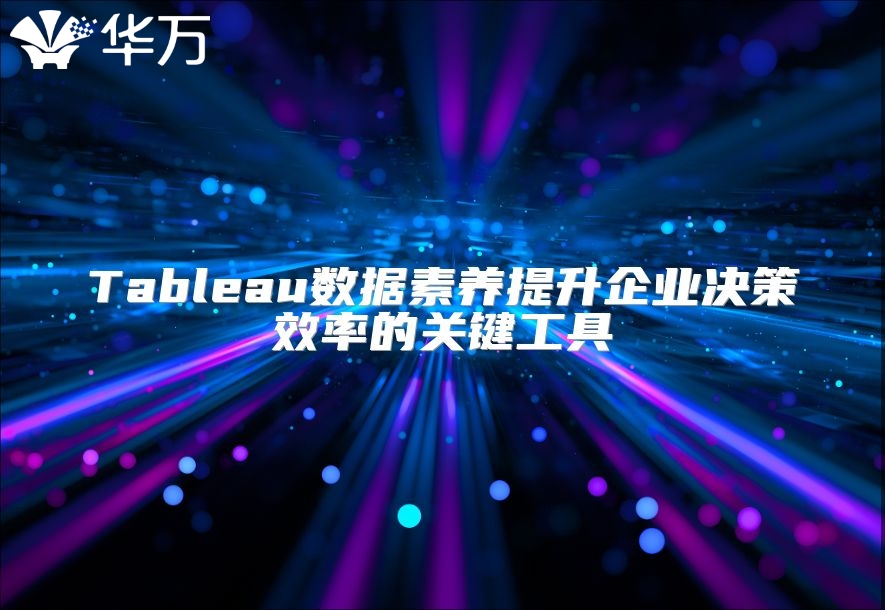 Tableau數據素養(yǎng)提升企業(yè)決策效率的關鍵工具