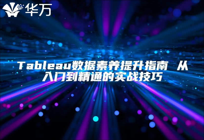 Tableau數據素養提升指南 從入門到精通的實戰技巧