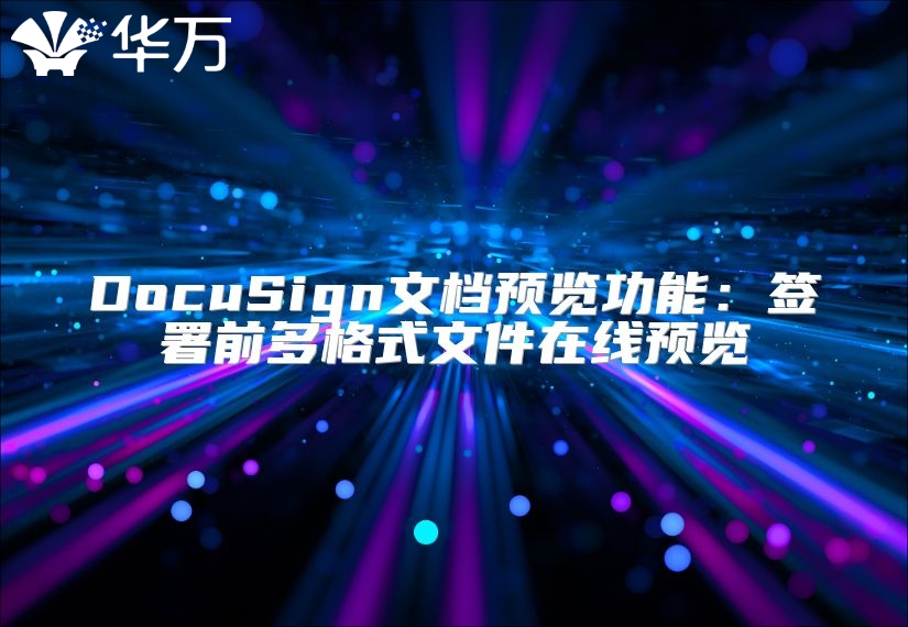 DocuSign文檔預覽功能：簽署前多格式文件在線預覽