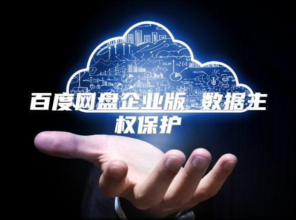 百度網(wǎng)盤企業(yè)版 數(shù)據(jù)主權(quán)保護