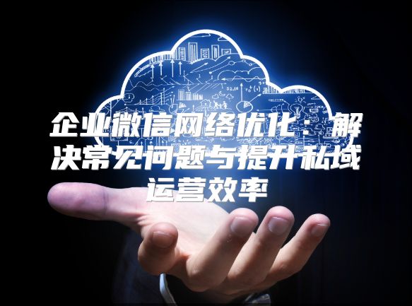 企業(yè)微信網絡優(yōu)化：解決常見問題與提升私域運營效率