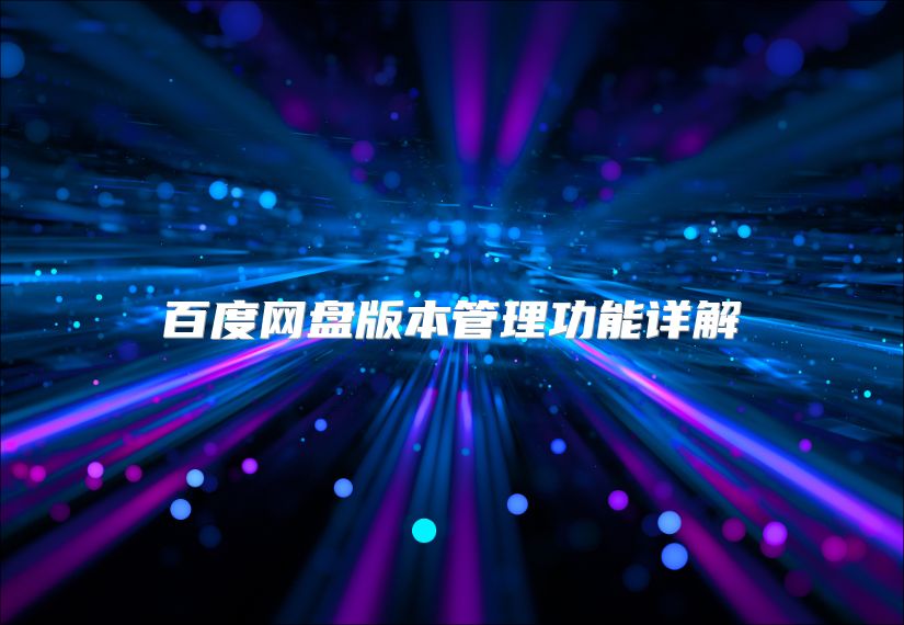 百度網(wǎng)盤版本管理功能詳解