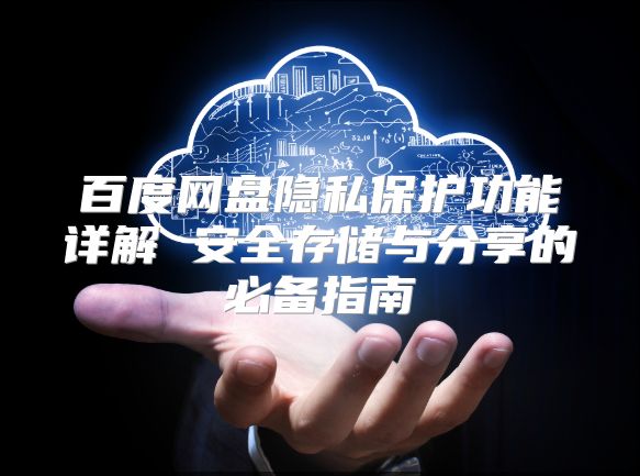 百度網(wǎng)盤隱私保護(hù)功能詳解 安全存儲(chǔ)與分享的必備指南