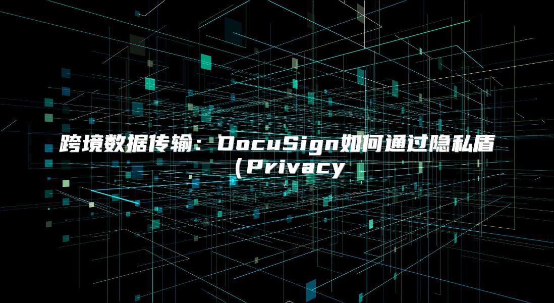 跨境數據傳輸：DocuSign如何通過隱私盾（Privacy